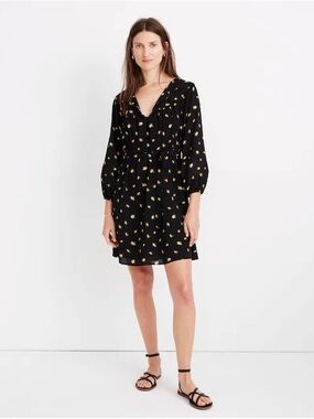 Madewell Tie-Waist Mini Floral Dress in French Daisies, size XS